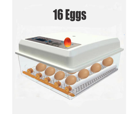 Egg Incubator Fully Automatic Digital Thermostat Chicken Eggs Poultry