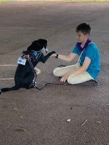 Emotional support dogs for the people of the NT