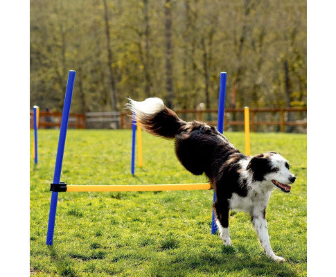 Floofi Dog Agility Training Set