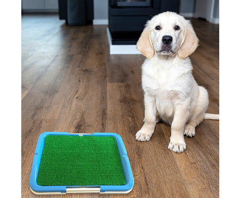 Portable Puppy Pet Toilet