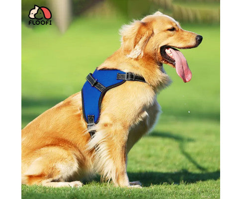 FLOOFI Dog Harness