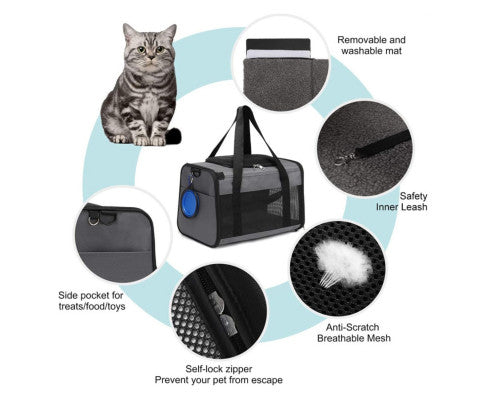 Floofi Portable Pet Carrier