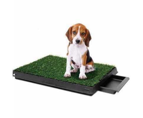 YES4PETS 4 x Grass replacement only for Dog Potty Pad