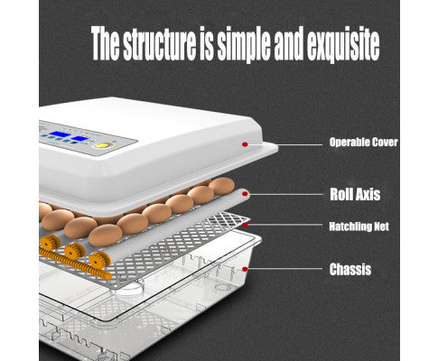 Egg Incubator Fully Automatic Digital Thermostat Chicken Eggs Poultry