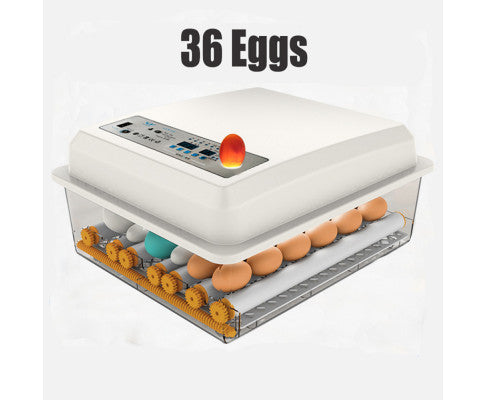 Egg Incubator Fully Automatic Digital Thermostat Chicken Eggs Poultry