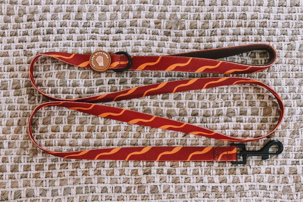 Designer Dog Leads by Explore with Paws
