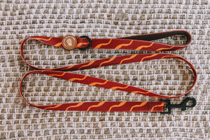 Designer Dog Leads by Explore with Paws