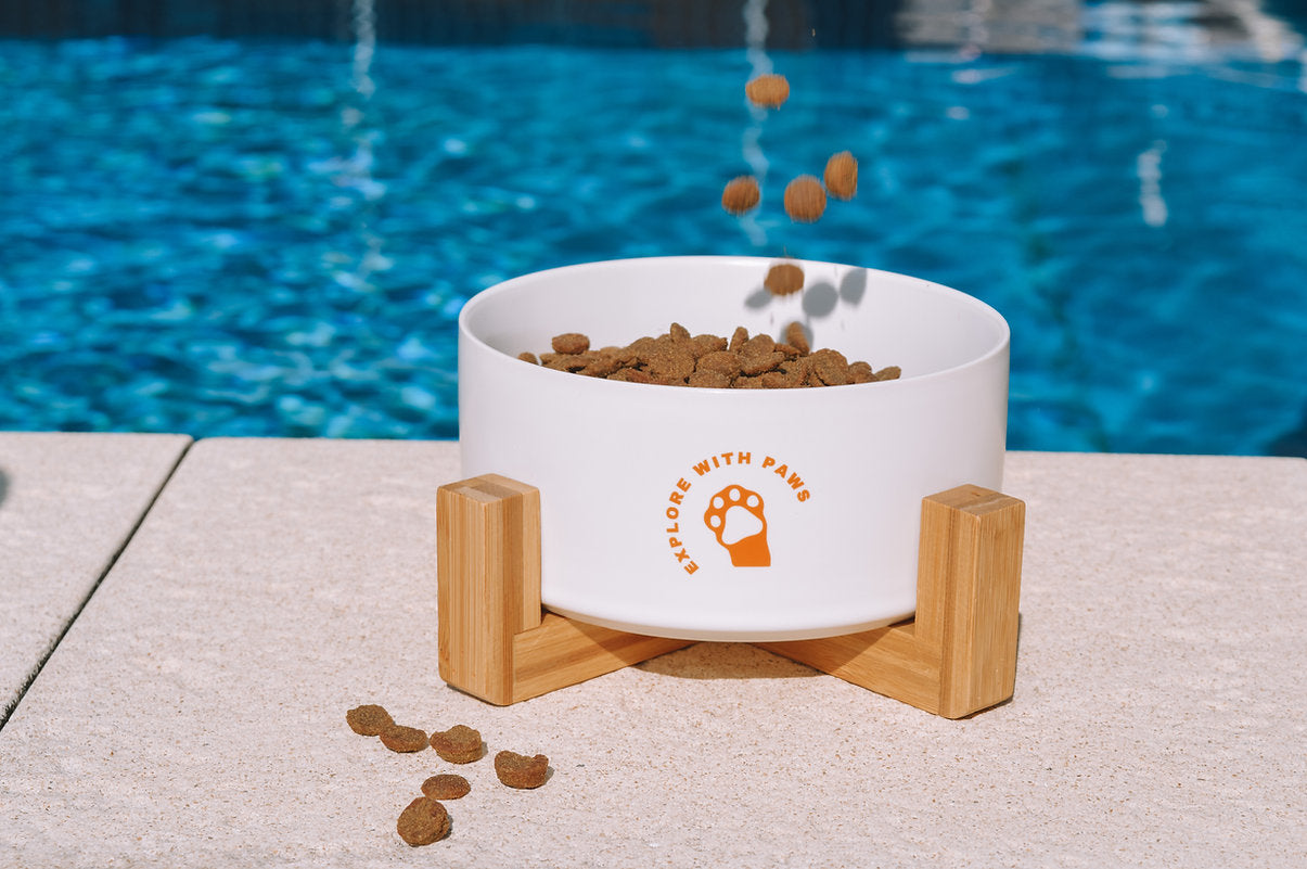 Ceramic Bowl with Wooden Stand - Explore with Paws