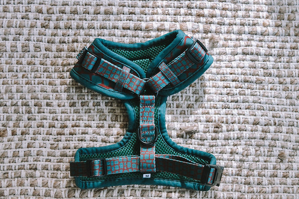 Designer Dog Harness by Explore with Paws