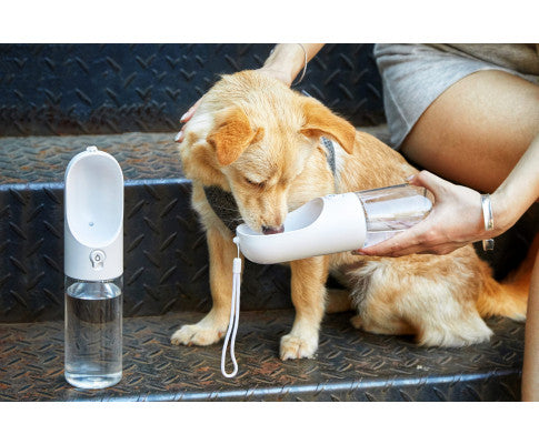 PETKIT Eversweet Travel Water Bottle