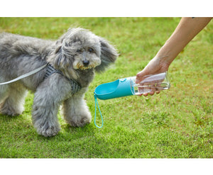 PETKIT Eversweet Travel Water Bottle