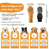 Dog Non-Slip Socks – Paw Protection & Anti-Lick - Set of 4
