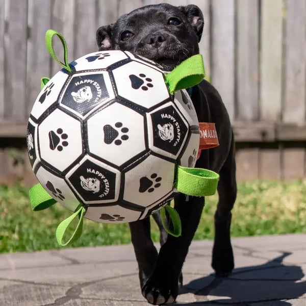 Ronaldog Soccer Ball - Happy Staffy Co