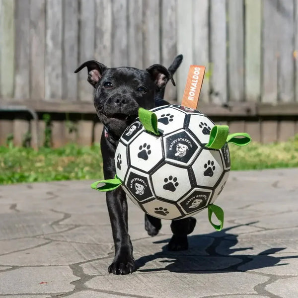 Ronaldog Soccer Ball - Happy Staffy Co