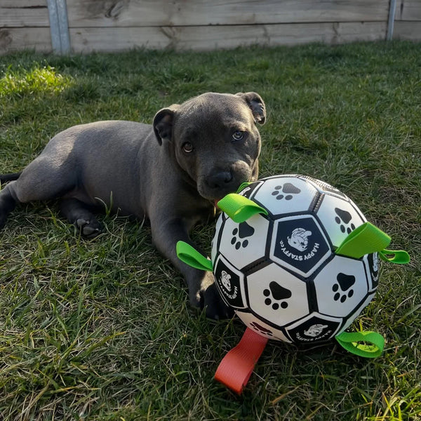 Ronaldog Soccer Ball - Happy Staffy Co