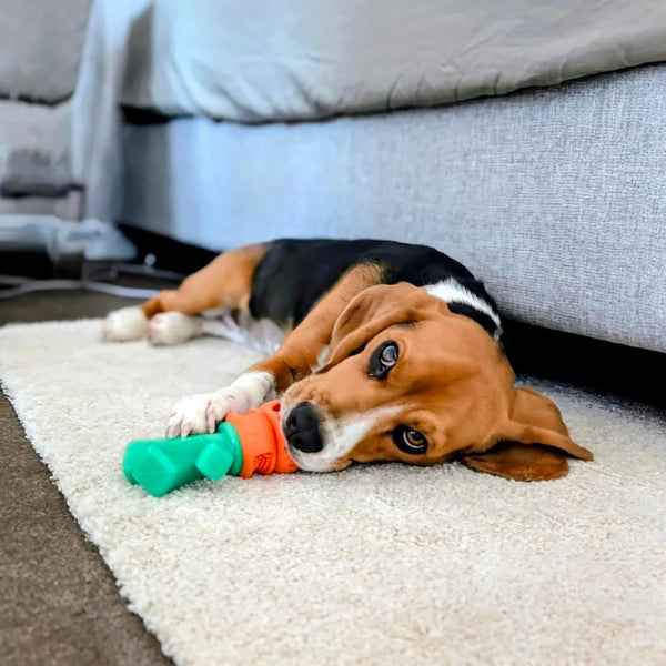 Chomp Carrot