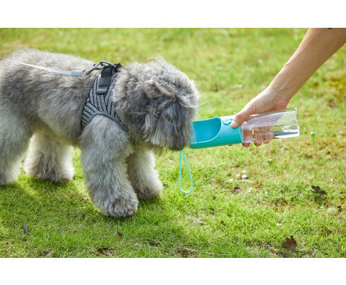 PETKIT Eversweet Travel Water Bottle