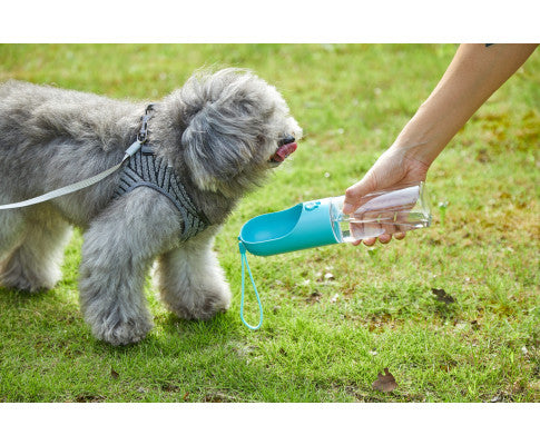 PETKIT Eversweet Travel Water Bottle