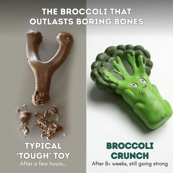 Broccoli Crunch - Happy Staffy Co