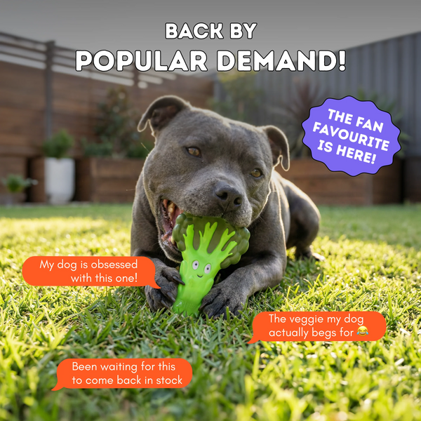 Broccoli Crunch - Happy Staffy Co