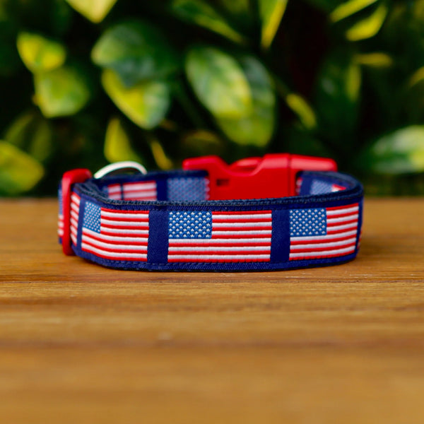 American Flag Dog Collar - Hand Made by The Bark Side