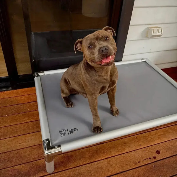 Chew-Proof Outdoor Dog Bed - Happy Staffy Co