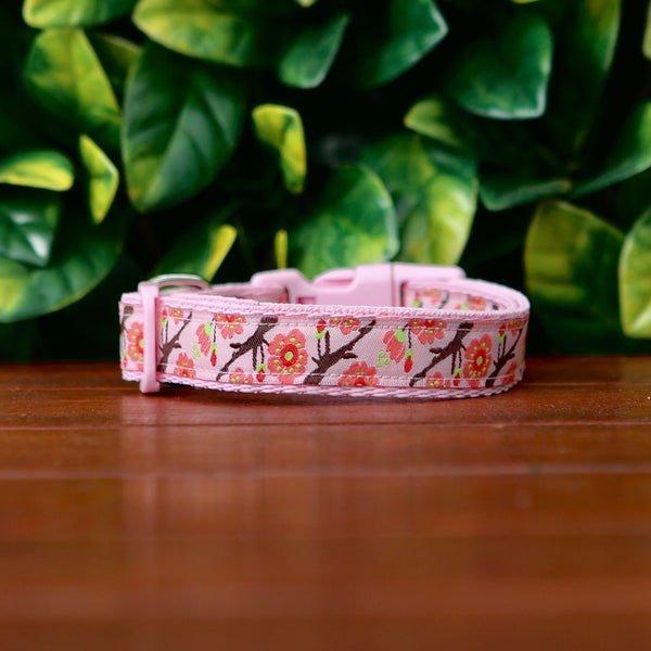 Cherry Blossom Sakura Dog Collar - Hand Made by The Bark Side