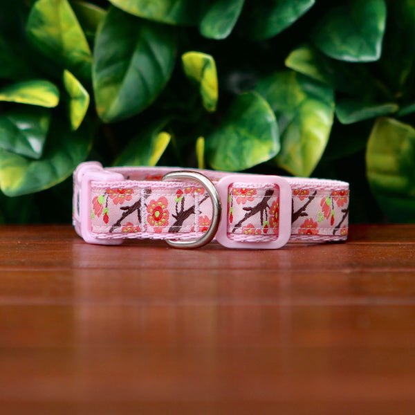 Cherry Blossom Sakura Dog Collar - Hand Made by The Bark Side