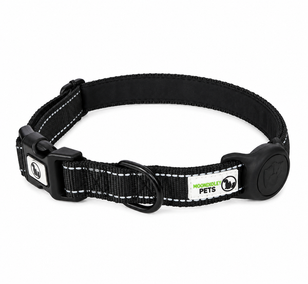 Dog Collar Nylon w/Reflective Stitching Padded AirTag Protector - Moondidley Pets