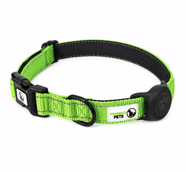 Dog Collar Nylon w/Reflective Stitching Padded AirTag Protector - Moondidley Pets