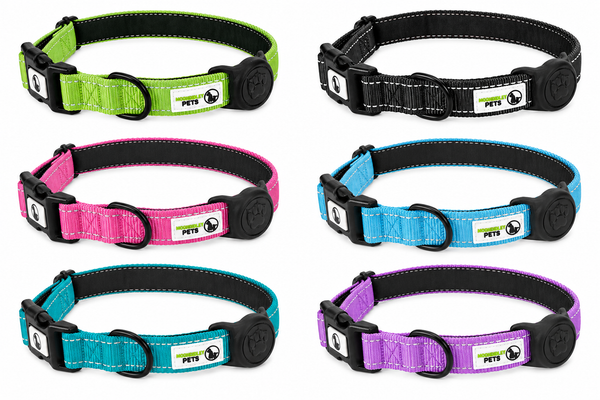 Dog Collar Nylon w/Reflective Stitching Padded AirTag Protector - Moondidley Pets