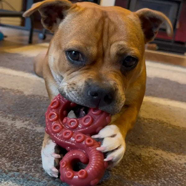 Chewzilla® Deep Sea Mission - Happy Staffy Co