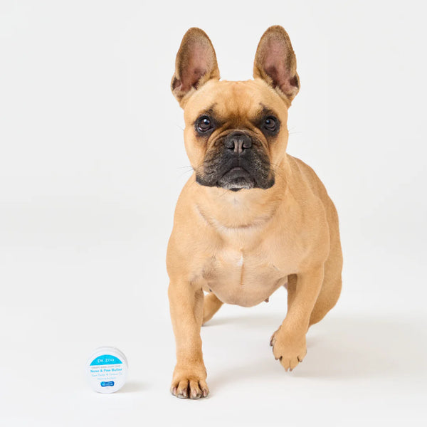 Crusty Nose Itchy Toes Nose & Paw Butter 50g - Dr Zoo