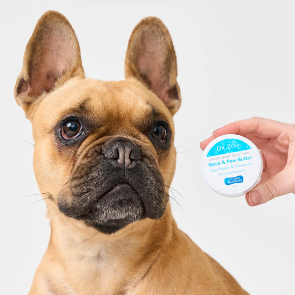 Crusty Nose Itchy Toes Nose & Paw Butter 50g - Dr Zoo