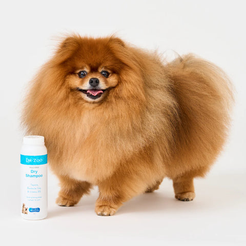 Talc Free Dry Shampoo for Pets 200g - Dr Zoo