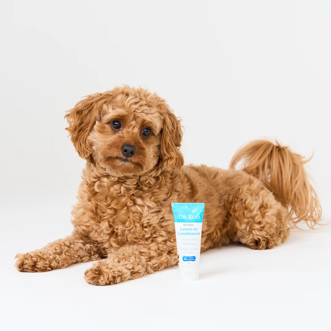 Leave-In Conditioner 50g - Dr Zoo