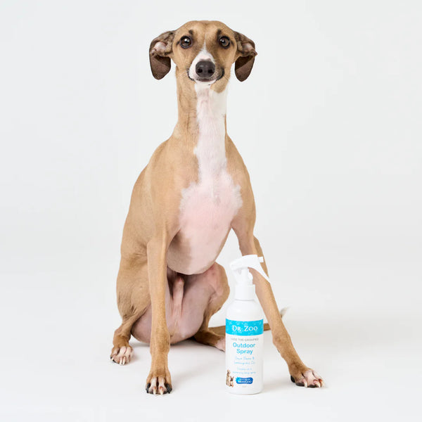 Lose the Groupies Outdoor Spray 200ml - Dr Zoo