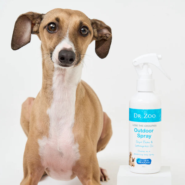 Lose the Groupies Outdoor Spray 200ml - Dr Zoo