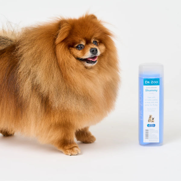 Quick Absorb Shammy - Dr Zoo