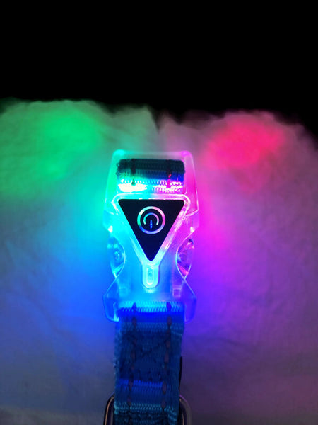 Dog Collar LED Flashing Light Buckle, Reflective Stitching - Moondidley Pets