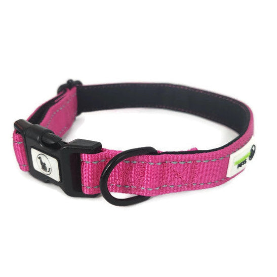Nylon w/Reflective Stitching Padded Dog Collar - Moondidley Pets