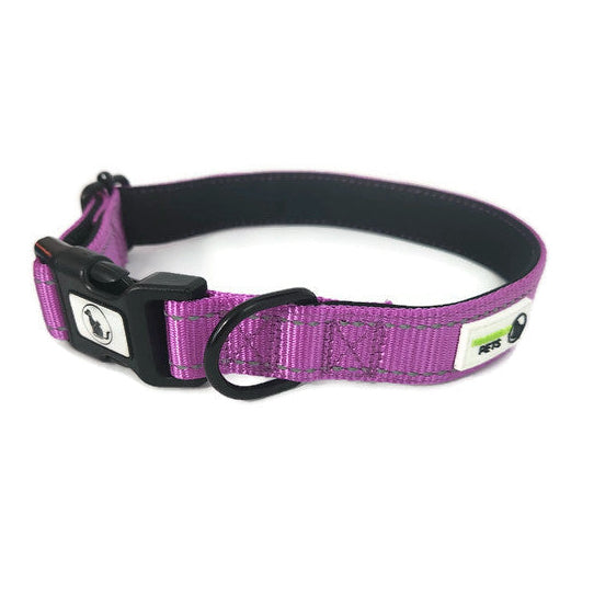 Nylon w/Reflective Stitching Padded Dog Collar - Moondidley Pets