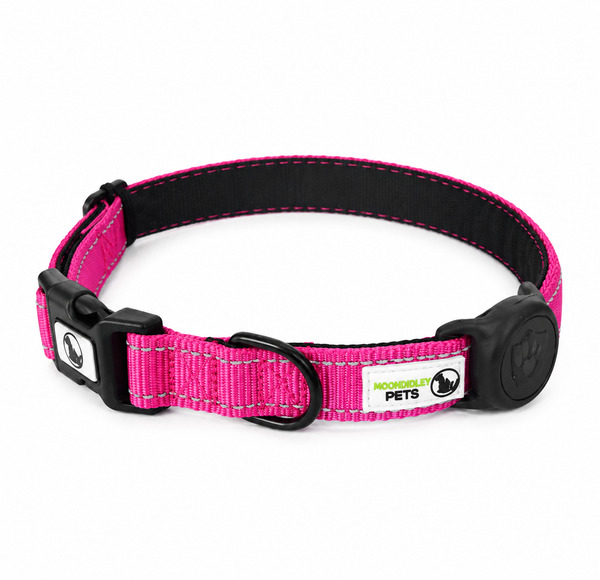 Dog Collar Nylon w/Reflective Stitching Padded AirTag Protector - Moondidley Pets