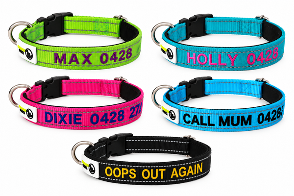 Doggie ID Collar Nylon w/Reflective Stitching Padded Embroidered Personalised Custom.