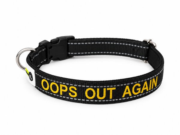 Doggie ID Collar Nylon w/Reflective Stitching Padded Embroidered Personalised Custom.