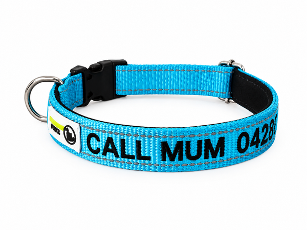 Doggie ID Collar Nylon w/Reflective Stitching Padded Embroidered Personalised Custom.