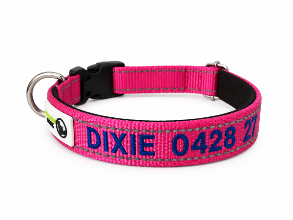 Doggie ID Collar Nylon w/Reflective Stitching Padded Embroidered Personalised Custom.