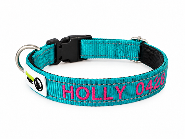 Doggie ID Collar Nylon w/Reflective Stitching Padded Embroidered Personalised Custom.