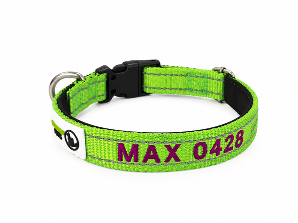 Doggie ID Collar Nylon w/Reflective Stitching Padded Embroidered Personalised Custom.