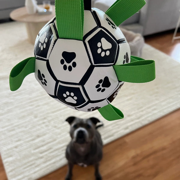 Ronaldog Soccer Ball - Happy Staffy Co
